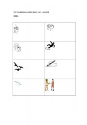 English Worksheet: simple past irregular verbs