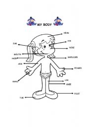 English Worksheet: body parts