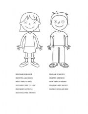 English Worksheet: body