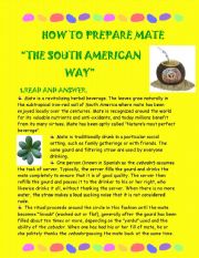 SOUTH AMERICAN DRINK: MATE