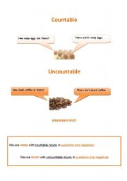 English Worksheet: countable/uncountable nouns