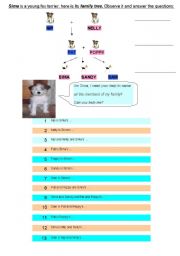 English worksheet: Relatives and Family