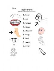 English worksheet: Body part page 1 