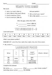 English Worksheet: Whats your name
