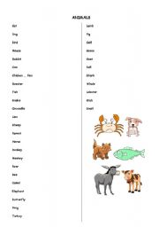 English worksheet: animals