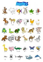 English Worksheet: ANIMALS PICTIONARY