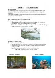 English Worksheet: ecosystems