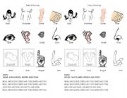 English Worksheet: Parts of the body