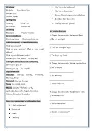 English Worksheet: Useful expressions and verb to be exercise
