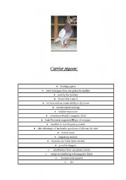 English worksheet: carreer pigeon