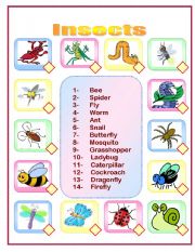 English Worksheet: Insects