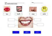 English Worksheet: Mouth and Teeth