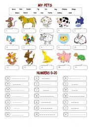 My pets & Numbers 0-20