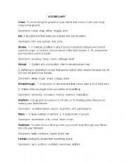 English Worksheet: vocabulary