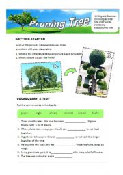 English Worksheet: Tree