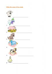 English Worksheet: animals