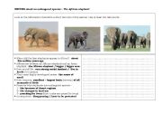 English Worksheet: writing