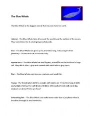 English Worksheet: The Blue Whale