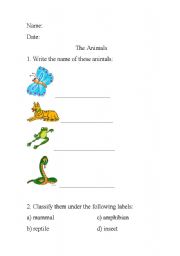 English worksheet: Animals