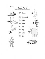 English worksheet: Body part page 4 