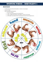 English Worksheet: Spinning wheel bodyparts 1: THE ARM