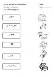 English Worksheet: T and D Animals Worksheet