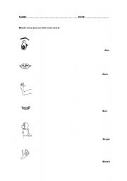 English worksheet: parts of the body