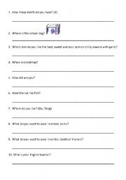 English worksheet: Different Kinds of questions