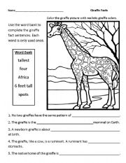 Giraffe Facts 