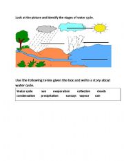 English Worksheet: water cycle 