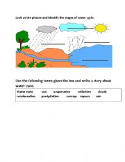 water cycle 