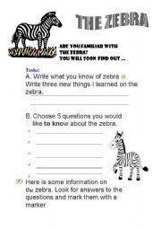 English worksheet: zebra