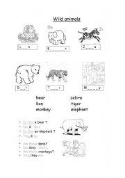 English worksheet: Wild animals