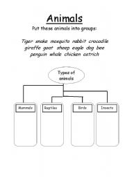 English worksheet: Animals