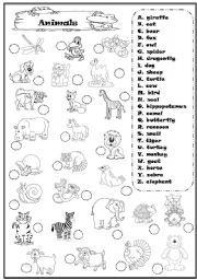 English Worksheet: animals