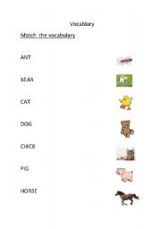 English Worksheet: Vocabulary