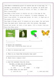 English Worksheet: butterfly reading