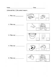 English worksheet: My Body