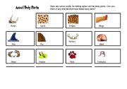 English Worksheet: Body parts Pics