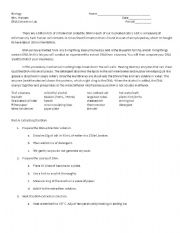 English Worksheet: DNA lab