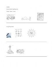 English worksheet: Science -- Living Things