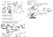 English Worksheet: VERTEBRATE ANIMALS