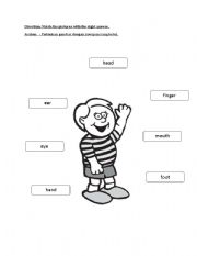 English Worksheet: Simple Bodypart