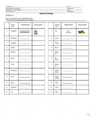 English Worksheet: spelling test