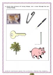 English worksheet: Living non-living things