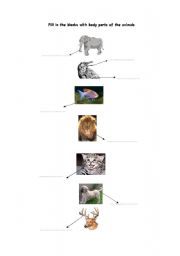 English Worksheet: body parts of animals