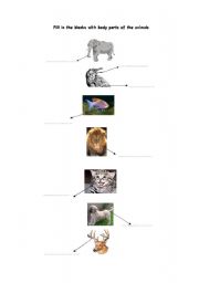 English worksheet: body parts of animals