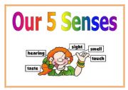 5 senses