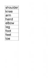 English Worksheet: My Body