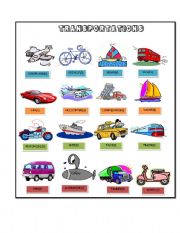 English Worksheet: kinds of transportation